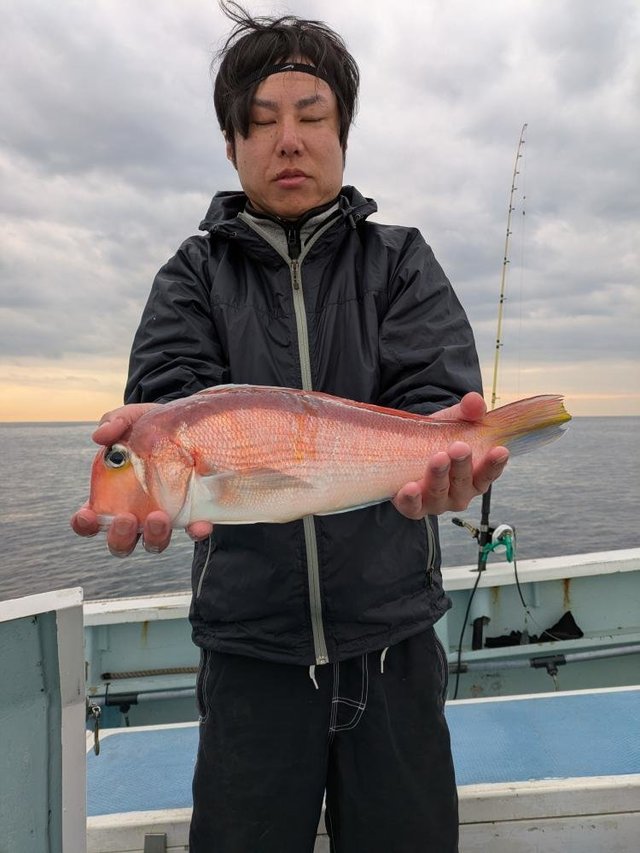 アマダイ(アカアマダイ)