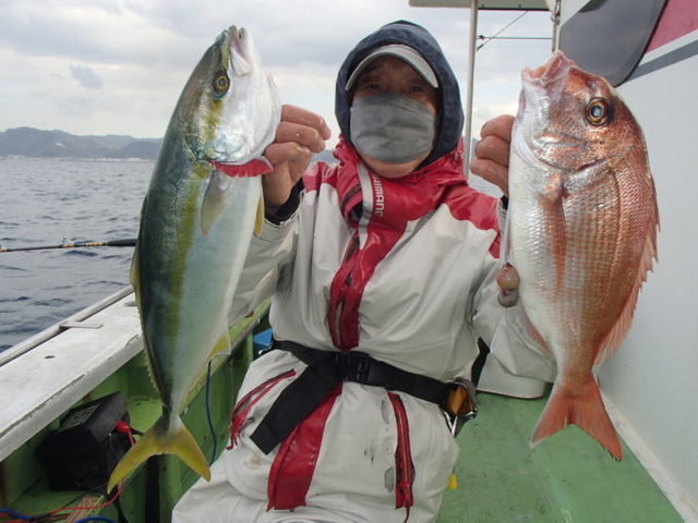 マダイ・イナダ(ブリ)