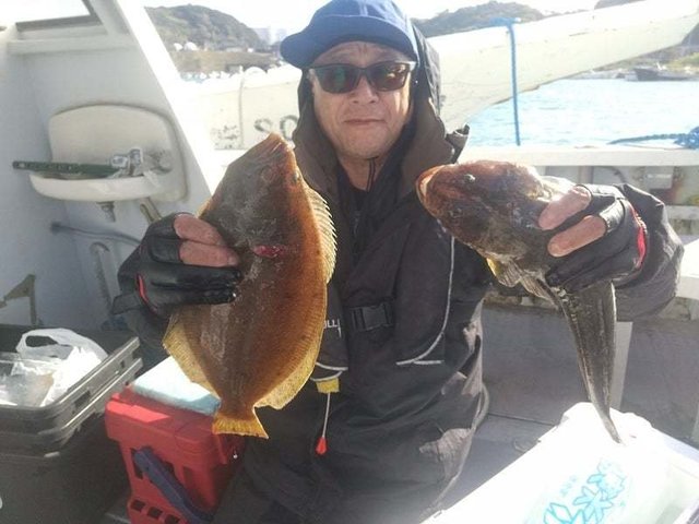 コチ(マゴチ)・ヒラメ