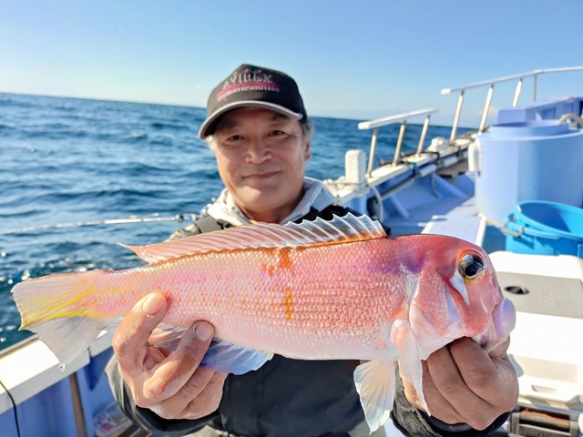 アマダイ(アカアマダイ)