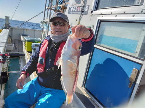 アマダイ(アカアマダイ)