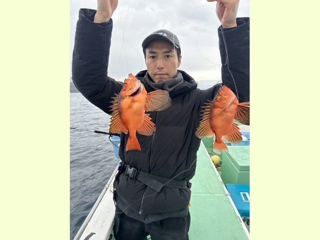 キントキ(チカメキントキ)