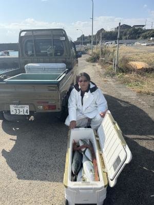 ハマチ(ブリ)・メジロ(ブリ)・アカヤガラ