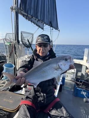 シオ(カンパチ)