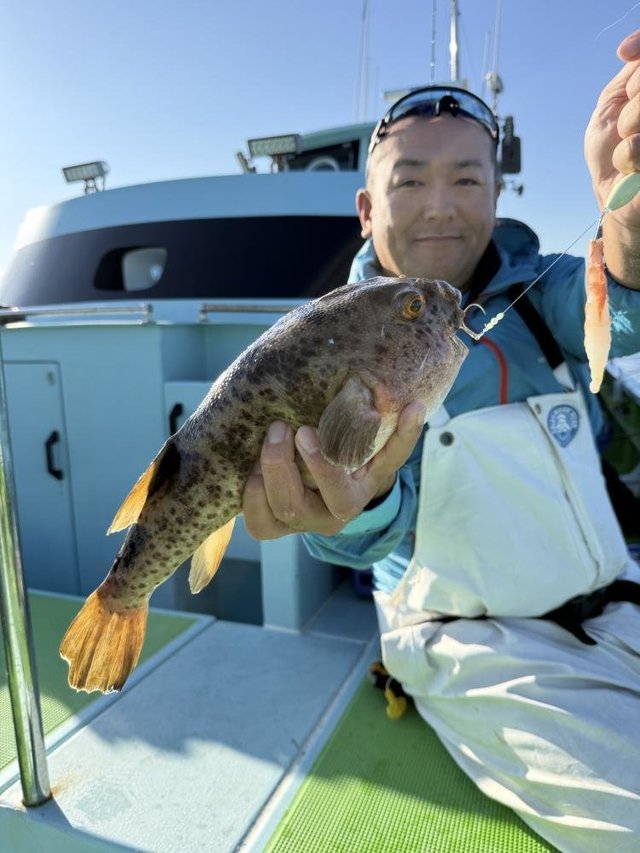 フグ(ショウサイフグ)