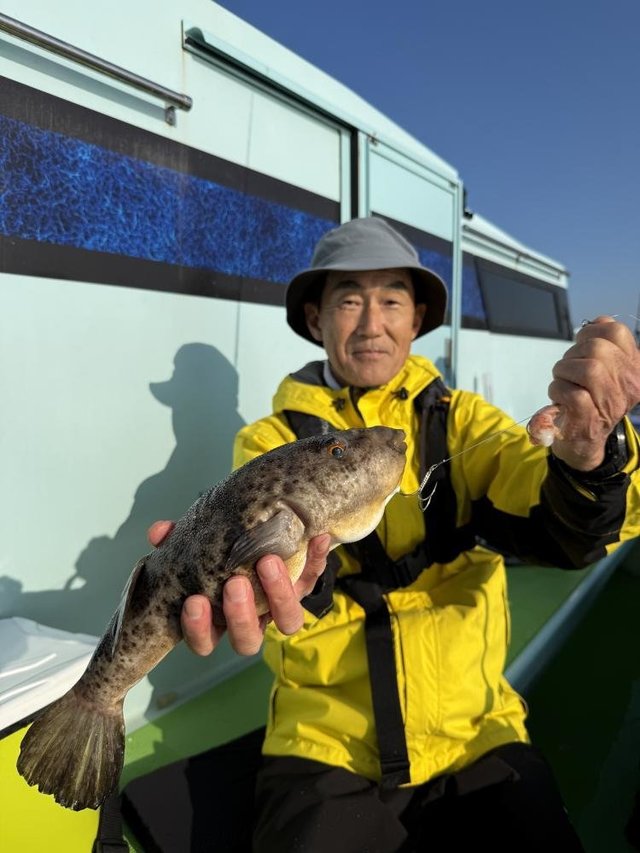 フグ(アカメフグ)