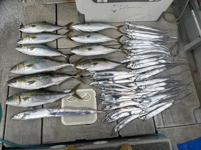 ブリ・メジロ(ブリ)・タチウオ