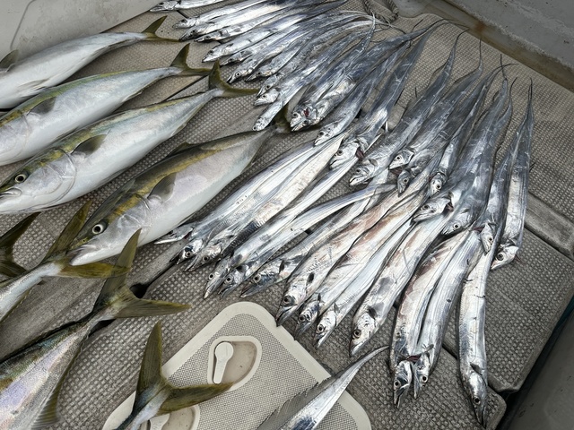 ブリ・メジロ(ブリ)・タチウオ