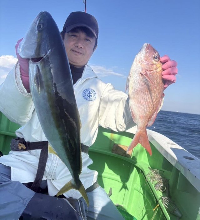 マダイ・ワラサ(ブリ)