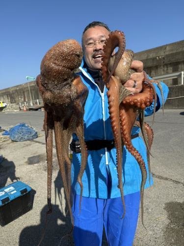 マタコ(マダコ)