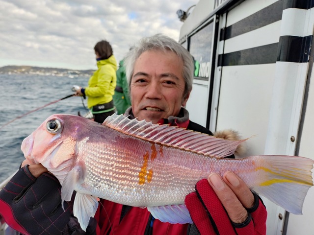 アマダイ(アカアマダイ)