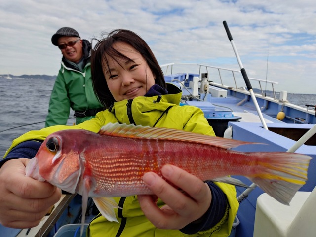 アマダイ(アカアマダイ)