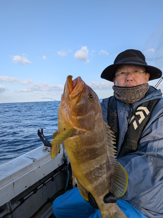 アオナ(アオハタ)