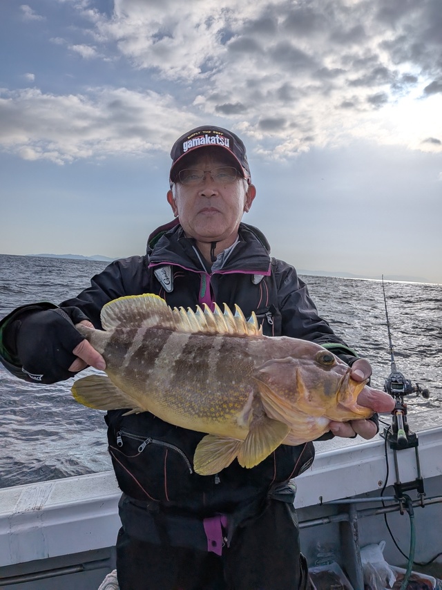 アオナ(アオハタ)