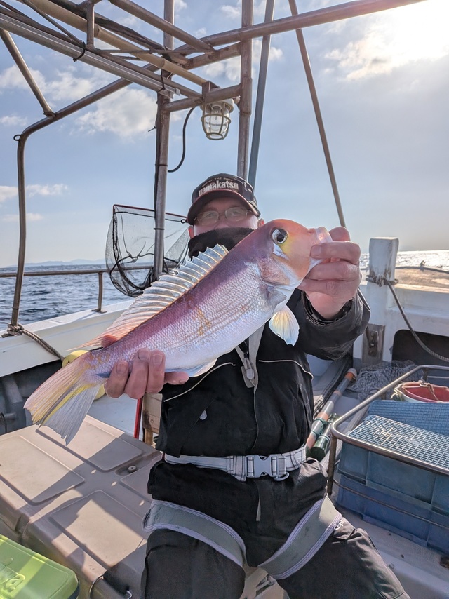 アマダイ(アカアマダイ)