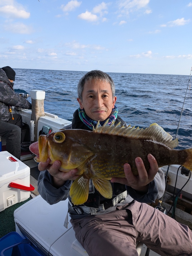 アオナ(アオハタ)