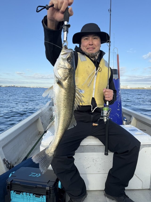 シーバス(スズキ)