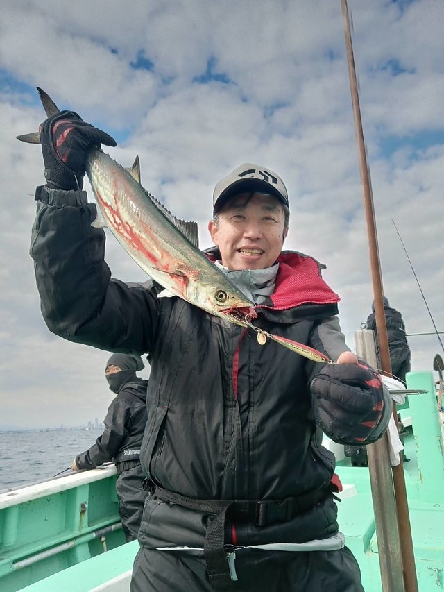 サゴシ(サワラ)