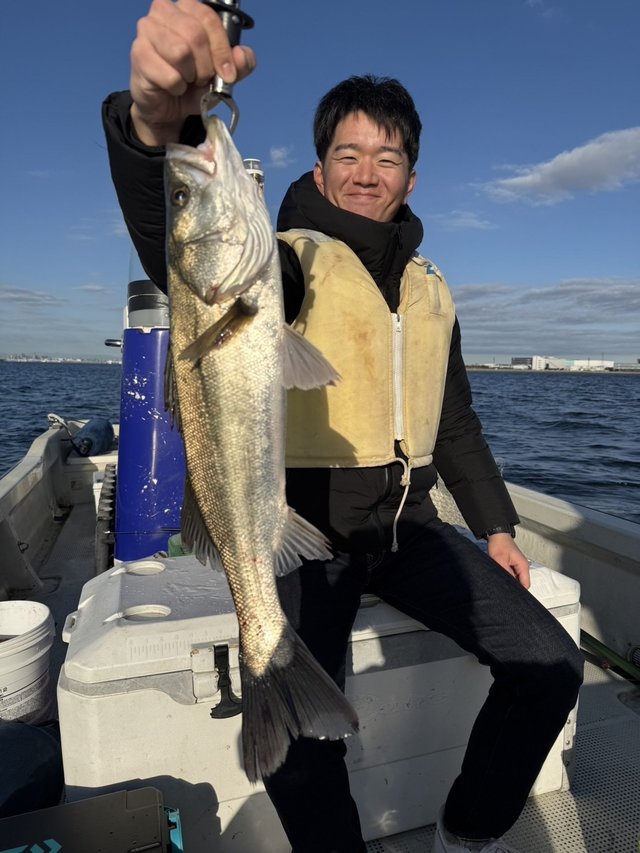 シーバス(スズキ)