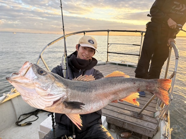 シーバス(スズキ)