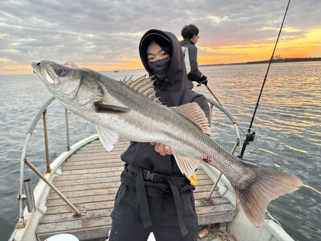 シーバス(スズキ)