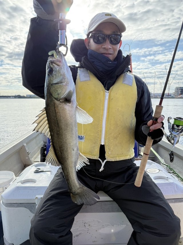 シーバス(スズキ)