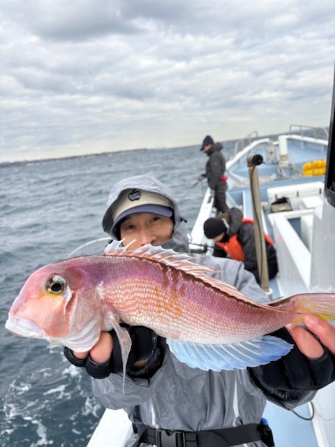 アマダイ(アカアマダイ)