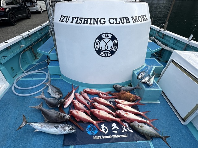 カンパチ・オナガ(ハマダイ)