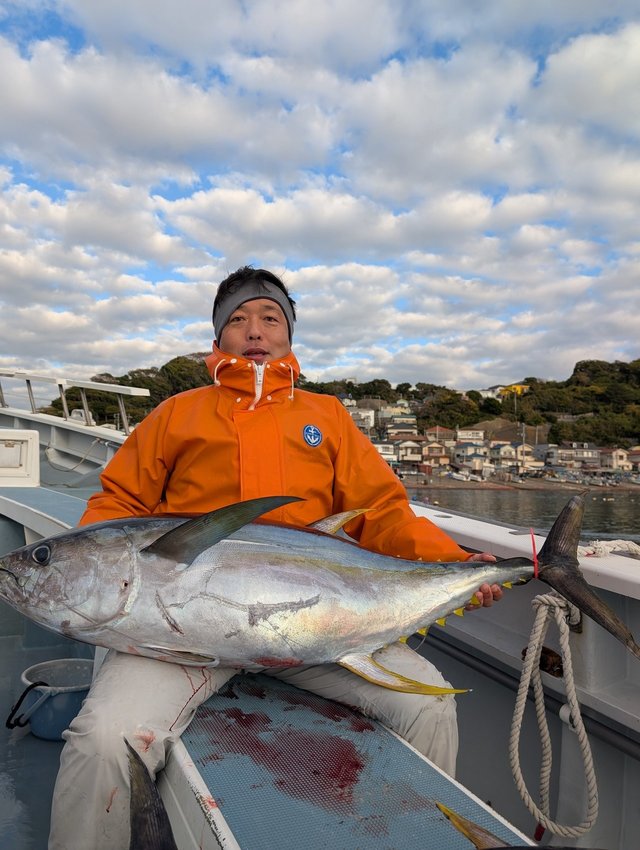 キハダマグロ(キハダ)