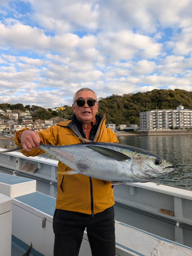 キハダマグロ(キハダ)