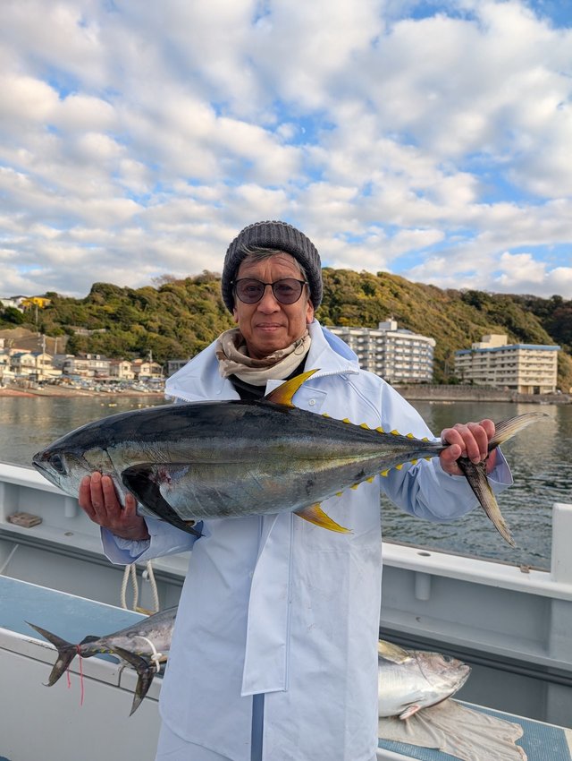 キハダマグロ(キハダ)