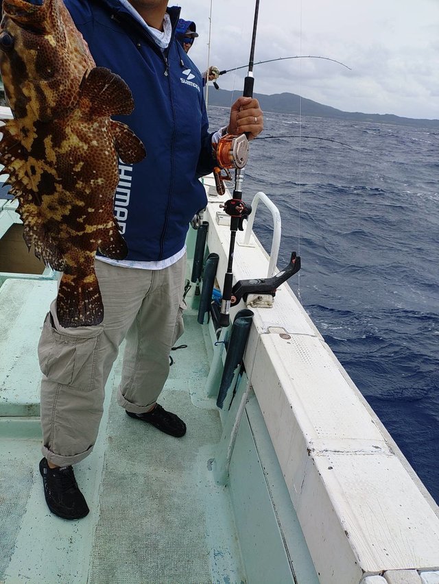 ミーバイ(クエ)