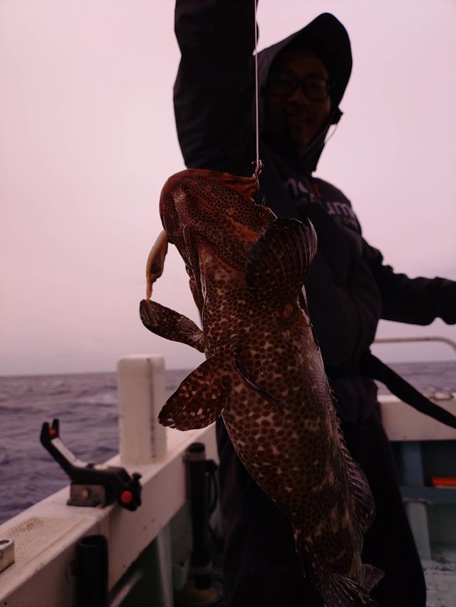 ミーバイ(クエ)