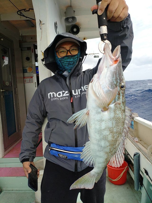 フエフキ(ハマフエフキ)