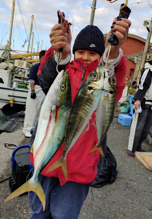 アジ(マアジ)・イナダ(ブリ)