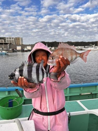 マダイ・イシダイ