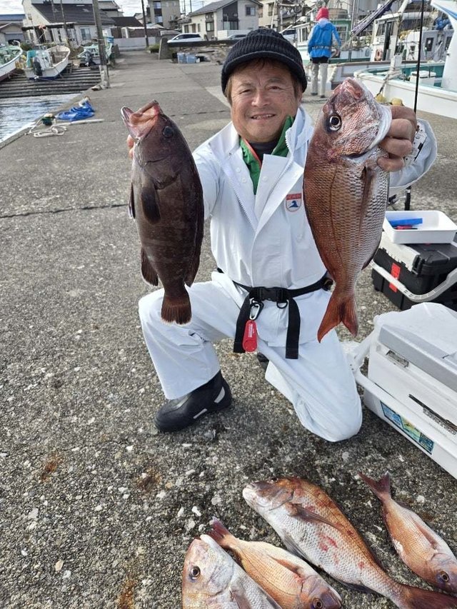 マダイ・ハタ(マハタ)