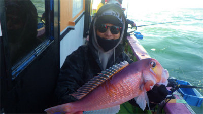 アマダイ(アカアマダイ)