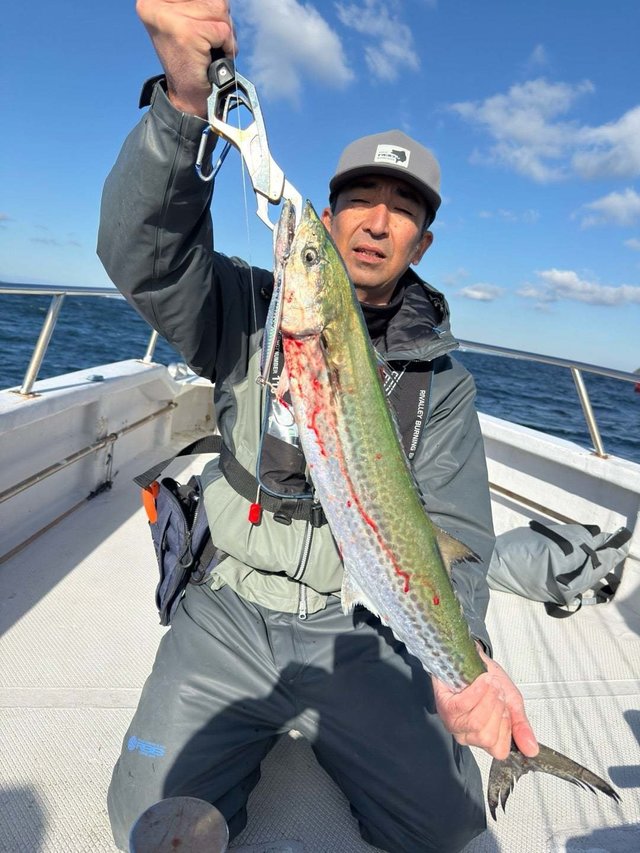 サワラ