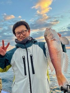 アマダイ(アカアマダイ)