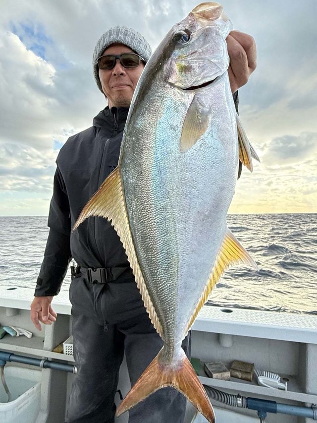 ヒレナガカンパチ