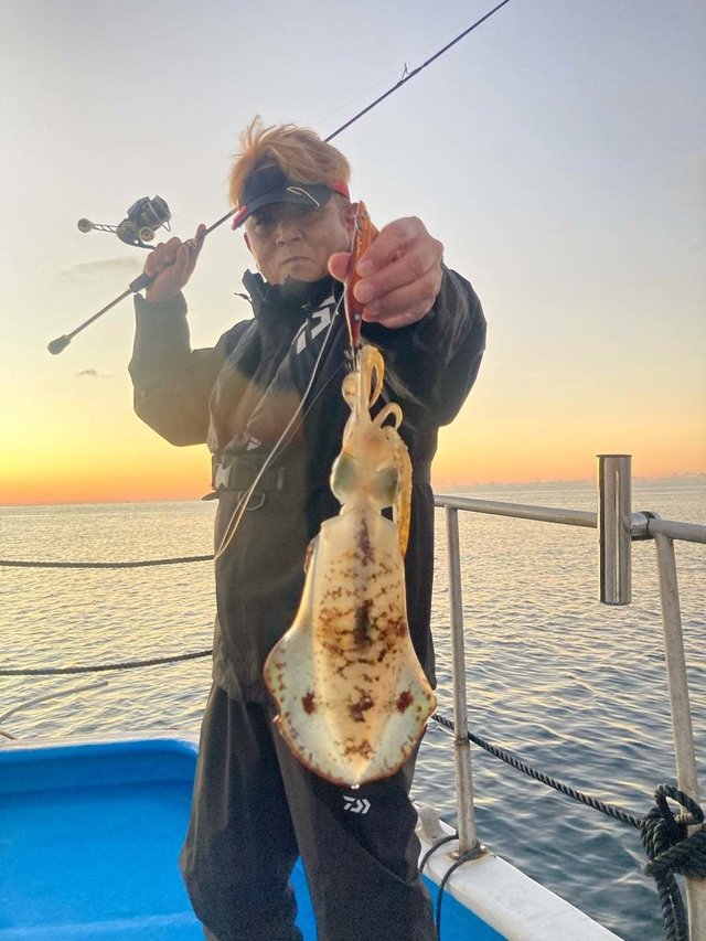 アオリ(アオリイカ)