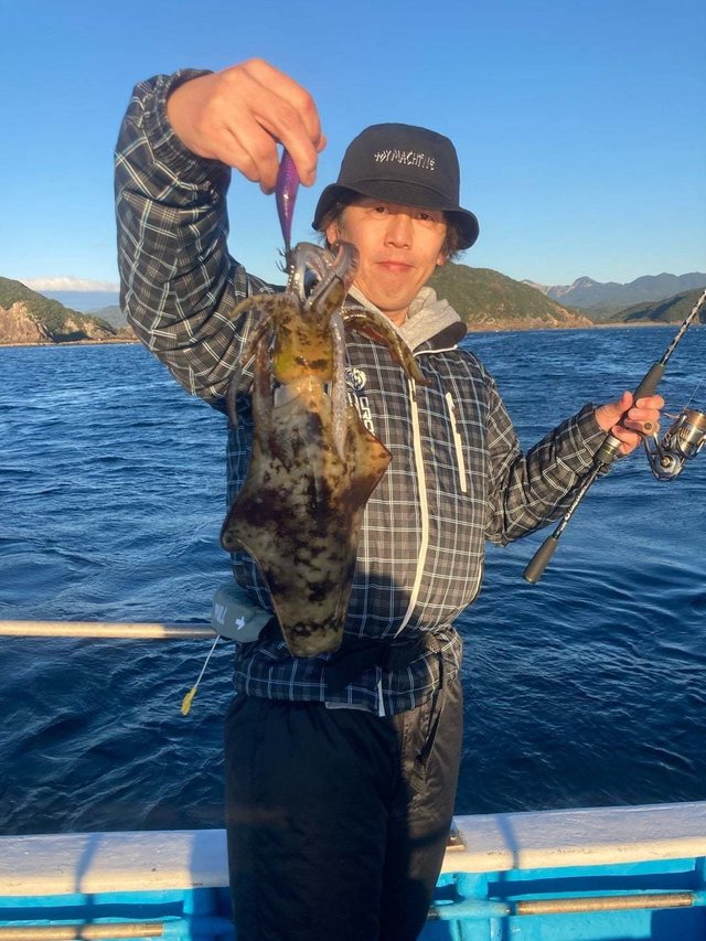 アオリ(アオリイカ)