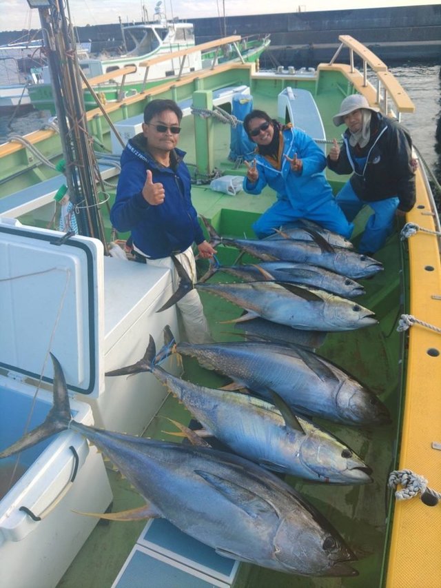 キハダ・キメジ(キハダ)