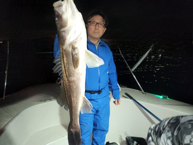 シーバス(スズキ)