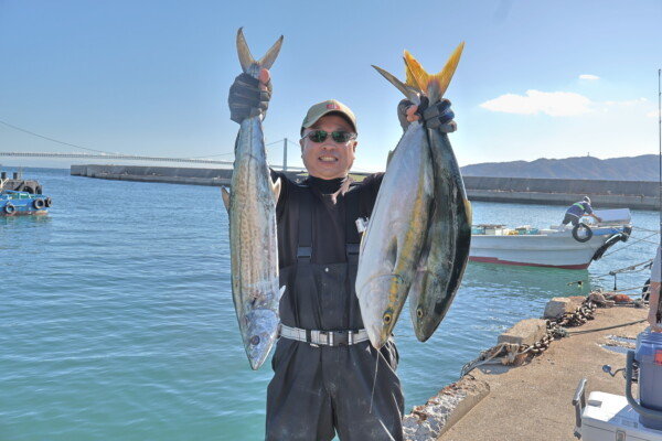 メジロ(ブリ)・サゴシ(サワラ)