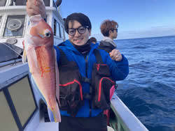 アマダイ(アカアマダイ)