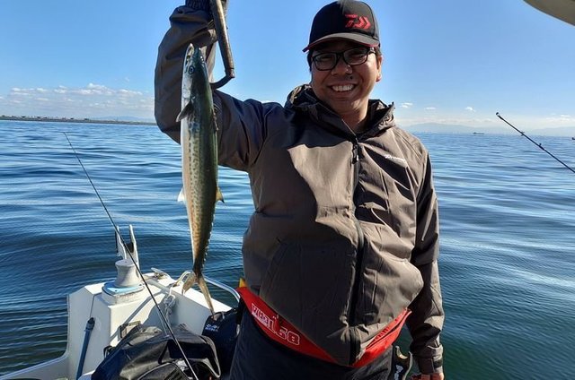 サゴシ(サワラ)