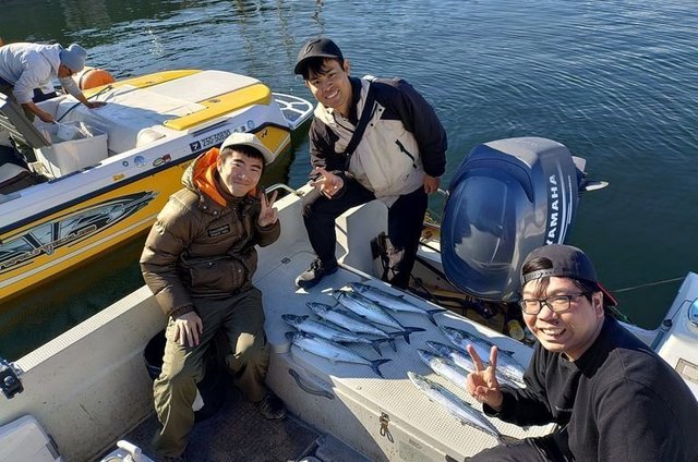 サゴシ(サワラ)