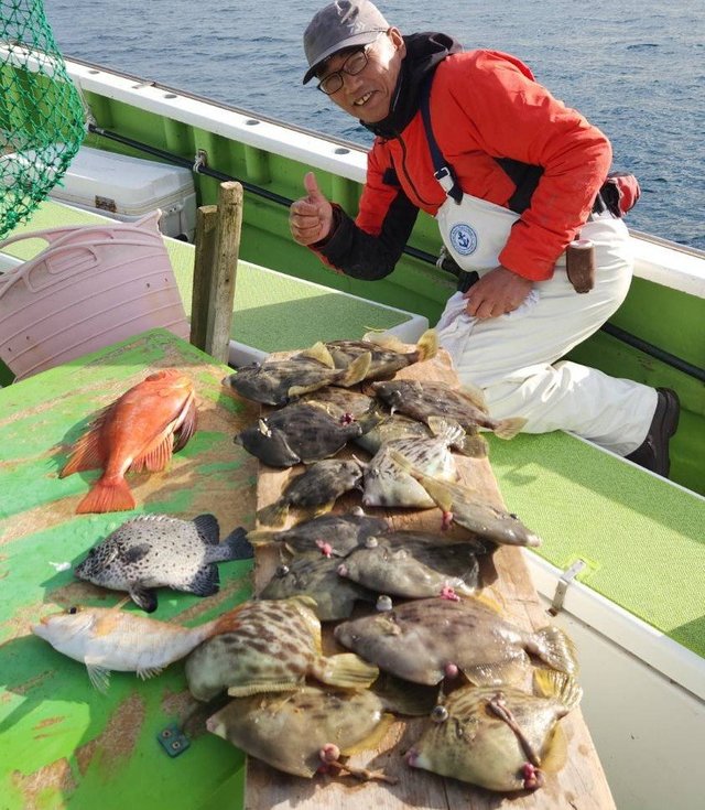 チカメキントキ・カワハギ